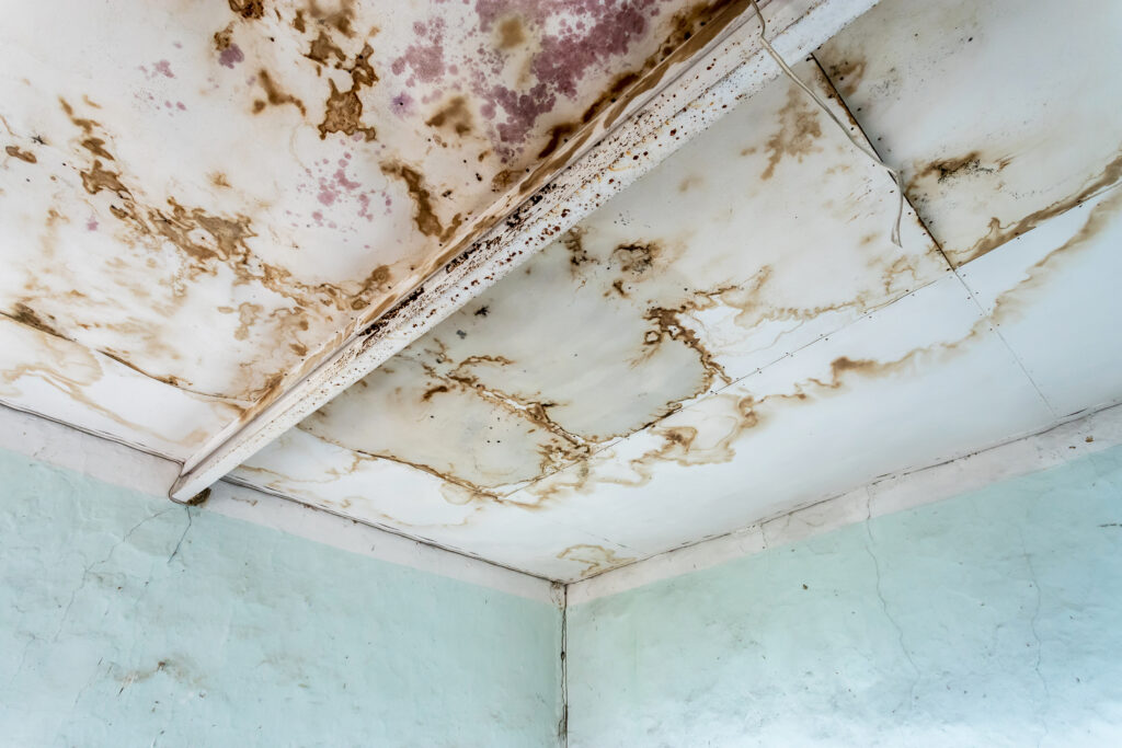 Mold-water-damage