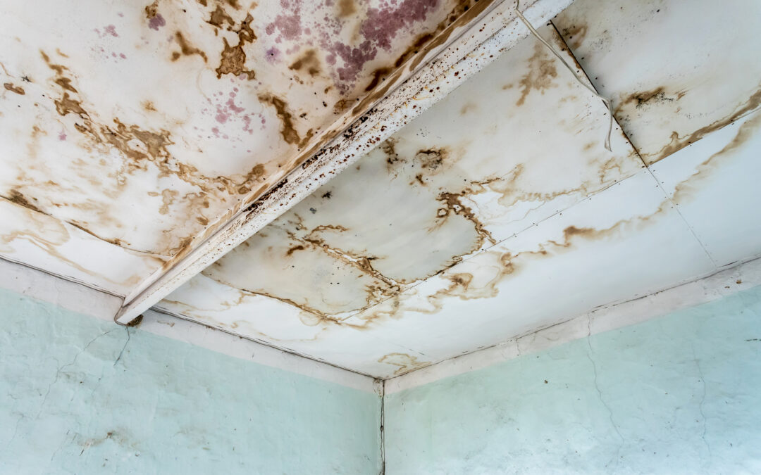 Mesa Landmark Water Damage Restoration Tips